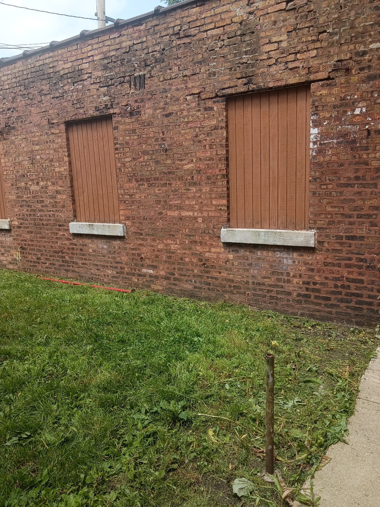 Trimmed grass along a clean brick wall after cleanup